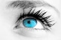 Composite image of blue eye Royalty Free Stock Photo
