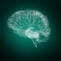 Composite image of 3d illustration of human brain Royalty Free Stock Photo