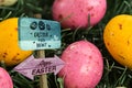 Composite image of easter egg hunt sign Royalty Free Stock Photo
