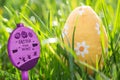 Composite image of easter egg hunt sign Royalty Free Stock Photo