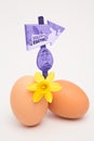 Composite image of easter egg hunt sign Royalty Free Stock Photo