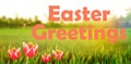 Composite image of easter greeting