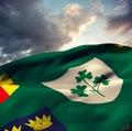 Composite image of flag of the irfu with the centenary logo