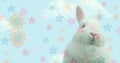 Composite image of flowers icons moving over easter bunny against clouds in the blue sky Royalty Free Stock Photo