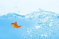 Composite image of goldfish against white background Royalty Free Stock Photo