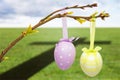 Composite image of hanging easter eggs