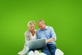 Composite image of happy mature couple using laptop Royalty Free Stock Photo