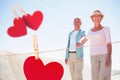 Composite image of happy senior couple walking on the pier Royalty Free Stock Photo