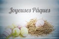 Composite image of joyeuses paques Royalty Free Stock Photo
