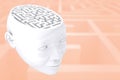 Composite image of maze as brain Royalty Free Stock Photo