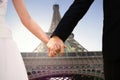 Composite image of mid section of newlywed couple holding hands in park Royalty Free Stock Photo