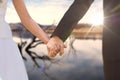 Composite image of mid section of newlywed couple holding hands in park Royalty Free Stock Photo