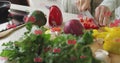 Composite image of multiple cherries icons against mid section of a woman chopping vegetables Royalty Free Stock Photo