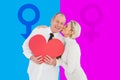 Composite image of older affectionate couple holding red heart shape Royalty Free Stock Photo