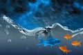 Composite image of orange goldfish Royalty Free Stock Photo