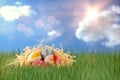 Composite image of patterned easter eggs in paper nest