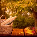 Composite image of picnic of wine and baguettes