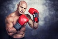 Composite image of portrait of boxer with red gloves