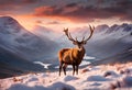 Composite image of red deer stag