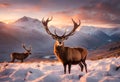 Composite image of red deer stag