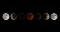 Lunar Eclipse Sequence Full Moon to Blood Moon and Back, Celestial Event Royalty Free Stock Photo