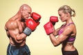 Composite image of side view of boxers with fighting stance Royalty Free Stock Photo