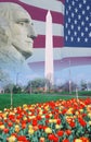 Composite image of Washington Monument, American flag, and profile of George Washington Royalty Free Stock Photo