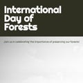 Composite of international day of forests text and idyllic view of skyscape on sunny day, copy space