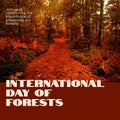 Composite of international day of forests text and idyllic view of trees growing in woodland
