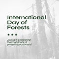 Composite of international day of forests text over trees during foggy weather