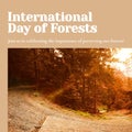 Composite of international day of forests text and trees growing in forest at sunset