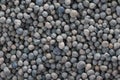 Composite mineral fertilizers. Background selective focus Royalty Free Stock Photo