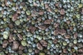 Composite mineral fertilizers. Background selective focus Royalty Free Stock Photo