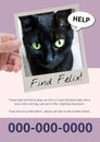 Composite of missing poster of black kitten, find felix, help text with information and number