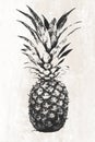 Trendy pineapple fruit decoration in BW