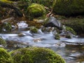 Long-exposure images of the stream of a brook XII Royalty Free Stock Photo