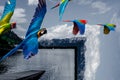 Flying parrots or aras towards freedom Royalty Free Stock Photo