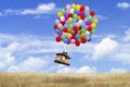 House being carried by balloons