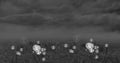 Composite of profile icons over aerial view of city against dark storm clouds, copy space