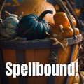 Composite of spellbound text and halloween pumpkins in basket Royalty Free Stock Photo