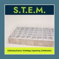 Composite of stem text with test tubes in rack on white background, copy space