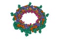 Composite structure of the inner ring of the human nuclear pore complex 32 copies of Nup205. Royalty Free Stock Photo