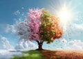 Tree of Seasons: A Visual Representation of Time and Change Royalty Free Stock Photo