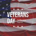 Composite of veterans day text in circle over flag of usa background Royalty Free Stock Photo