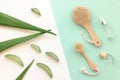 Composition with aloe vera, bottle and massage brush. Flat lay concept. Natural skin care cosmetic for the body and face Royalty Free Stock Photo