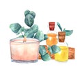 Composition with aromatic oils, eucalyptus twigs, candle. Watercolor illustration.