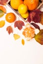 Composition of autumn colored leaves and citrus fruits. Lemons, tangerines, grapefruits in a wooden plate on a light background.