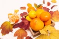Composition of autumn colored leaves and citrus fruits. Lemons, tangerines, grapefruits in a wooden plate on a light background.
