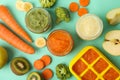 Composition baby food on mint background, top view