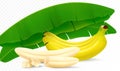 Composition of banana fruits, bunch of bananas, peeled banana, slices and halves, leaves from a banana palm. Realistic 3d vector Royalty Free Stock Photo